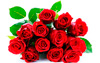 Dozen Roses Red